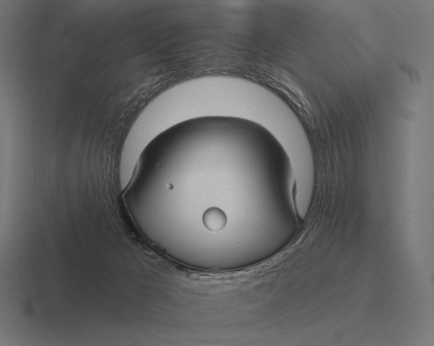 X0000116590029200912291317