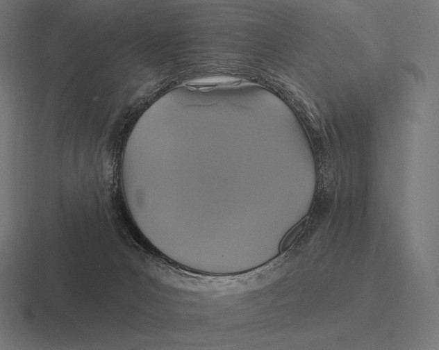 X0000116590031200912291317