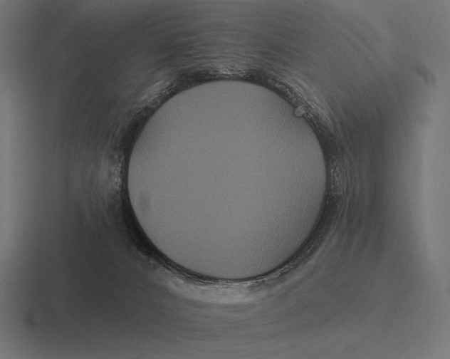 X0000116590032200912291317