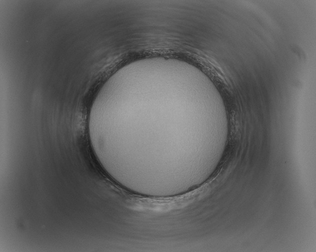 X0000116590033200912291317