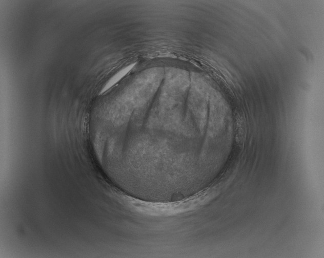 X0000116590034200912291317