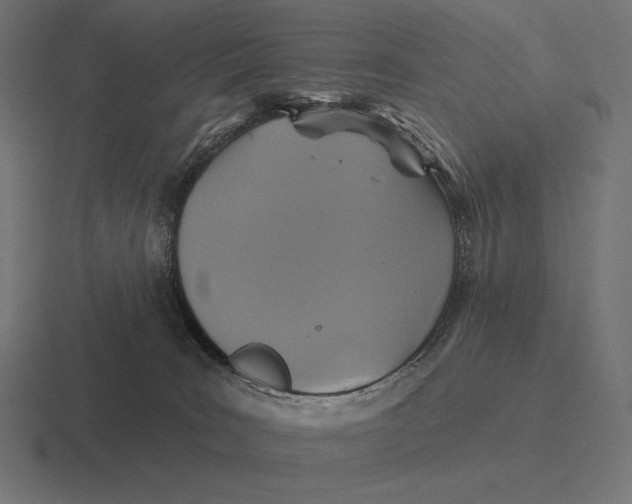 X0000116590035200912291317