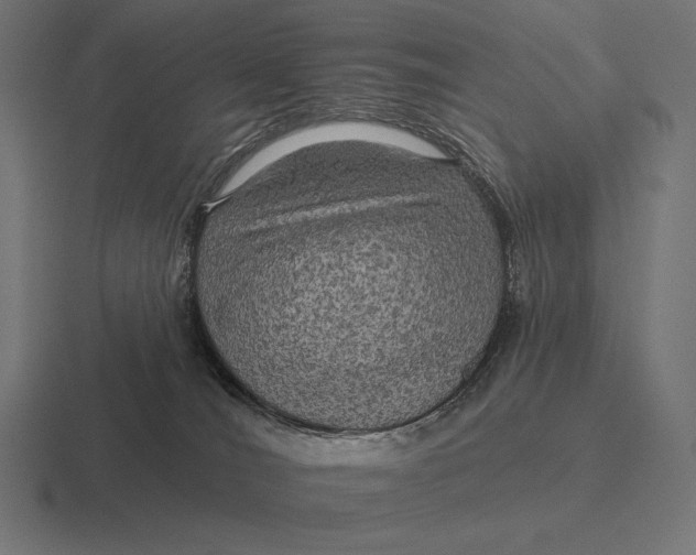 X0000116590036200912291317