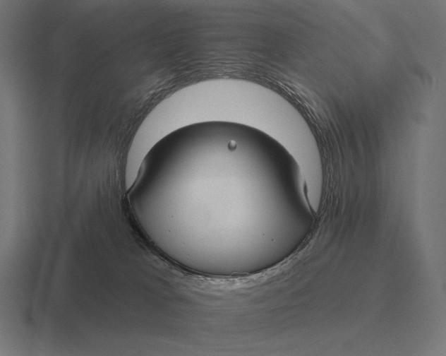 X0000116590037200912291317