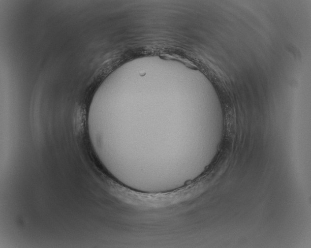 X0000116590038200912291317