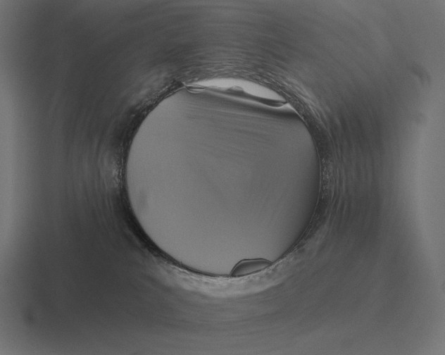 X0000116590039200912291317