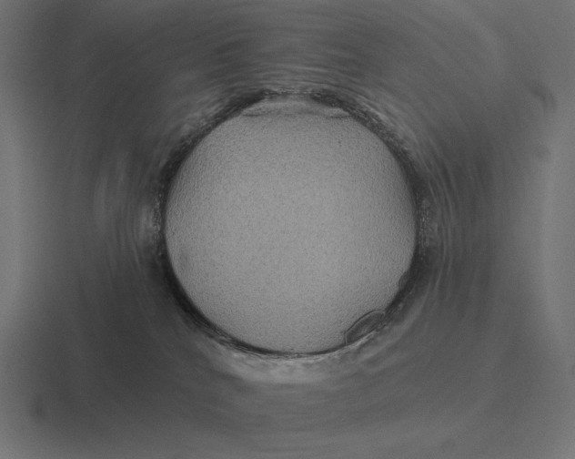 X0000116590040200912291317