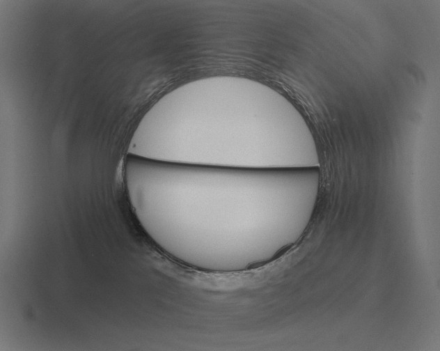 X0000116590041200912291317