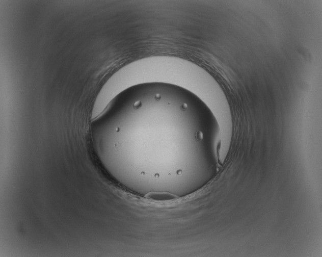 X0000116590043200912291317