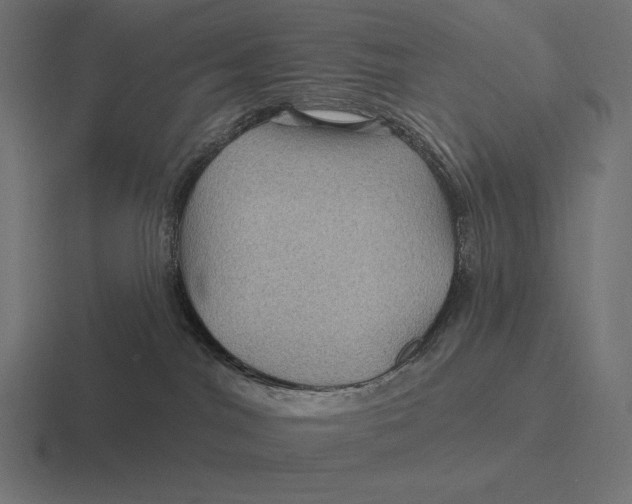 X0000116590044200912291317