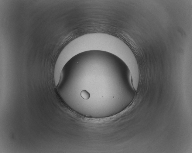 X0000116590045200912291317