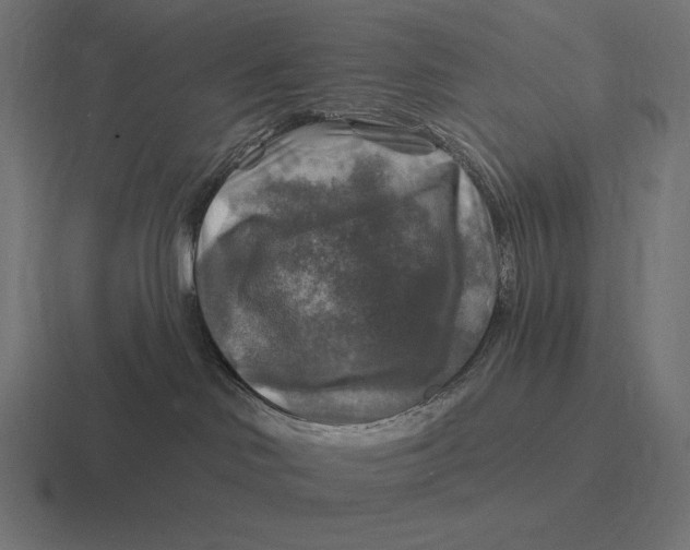 X0000116590046200912291317