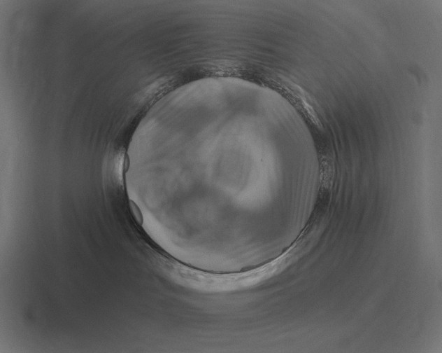 X0000116590047200912291317