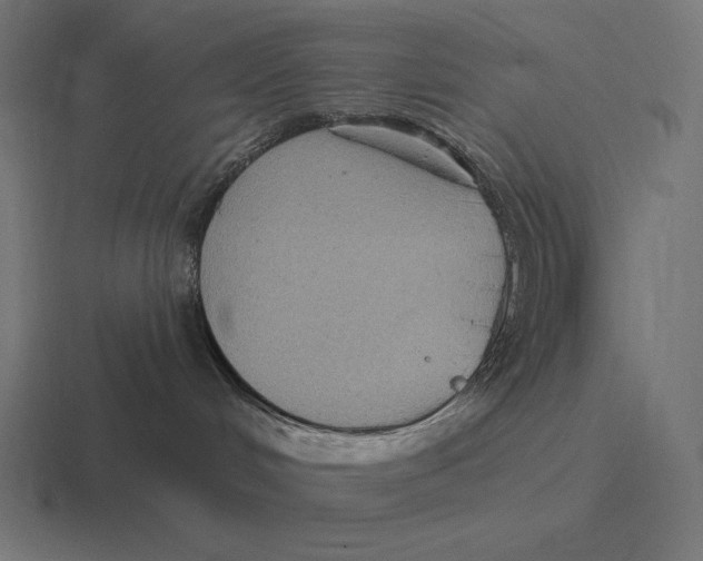 X0000116590048200912291316