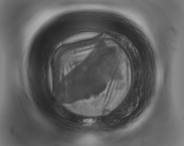 X0000116590050200912291316