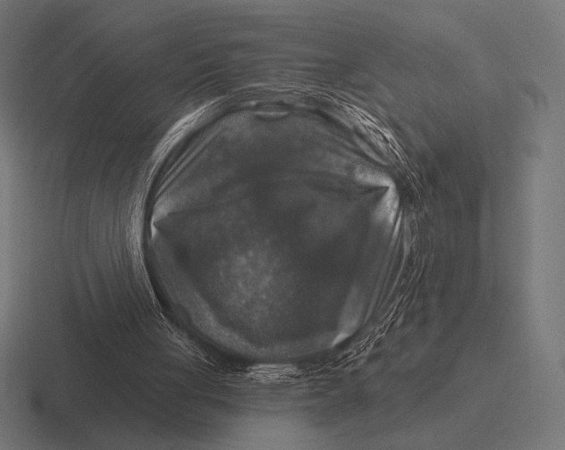 X0000116590051200912291316