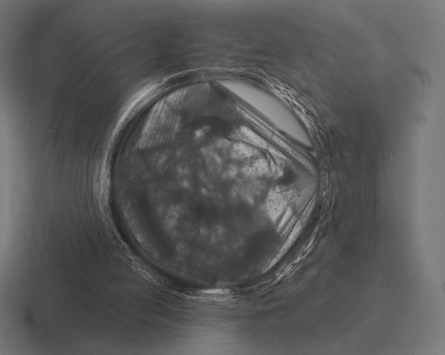 X0000116590053200912291316