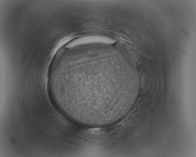 X0000116590054200912291316