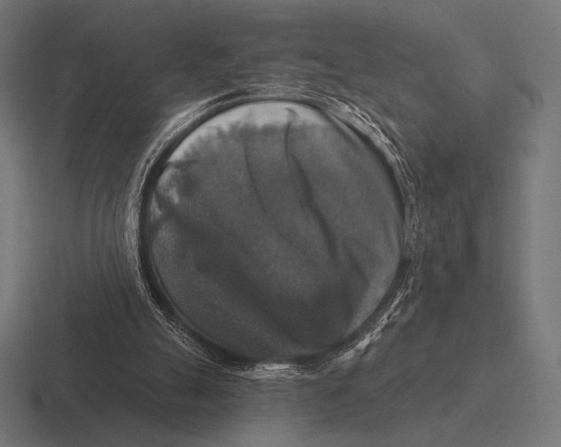 X0000116590055200912291316