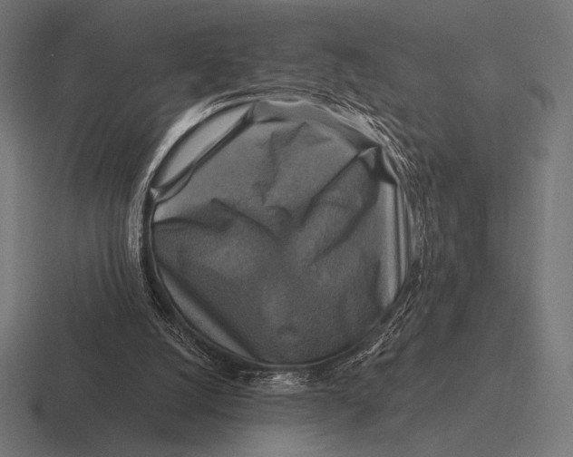 X0000116590056200912291316