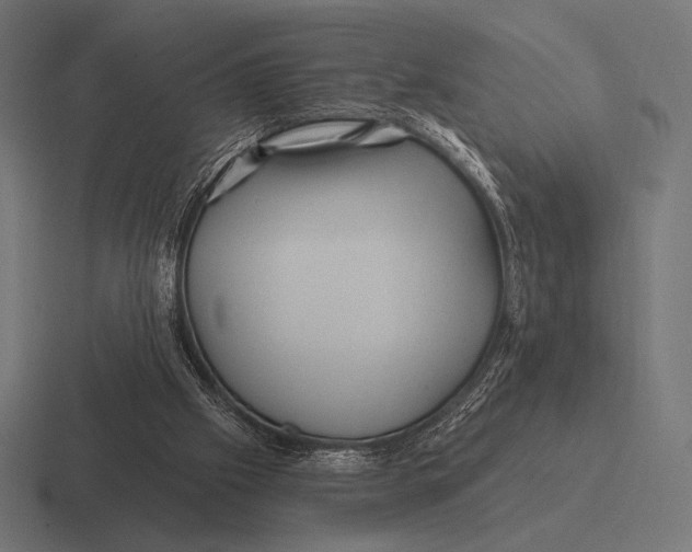 X0000116590057200912291316