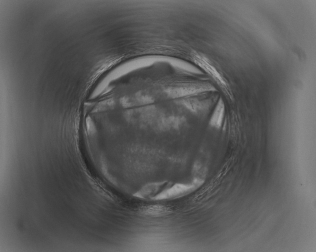 X0000116590058200912291316