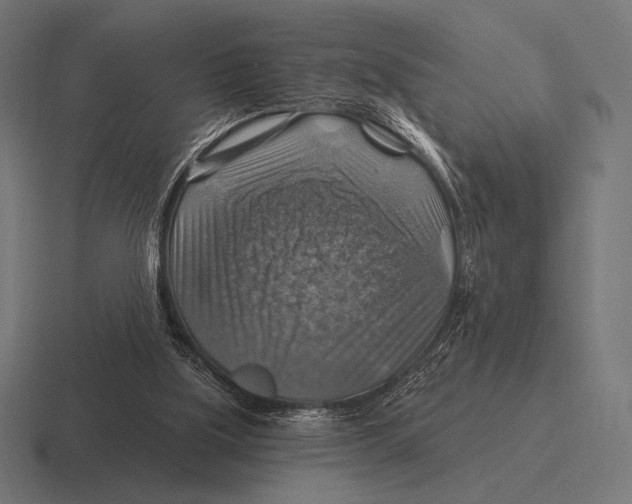 X0000116590059200912291316