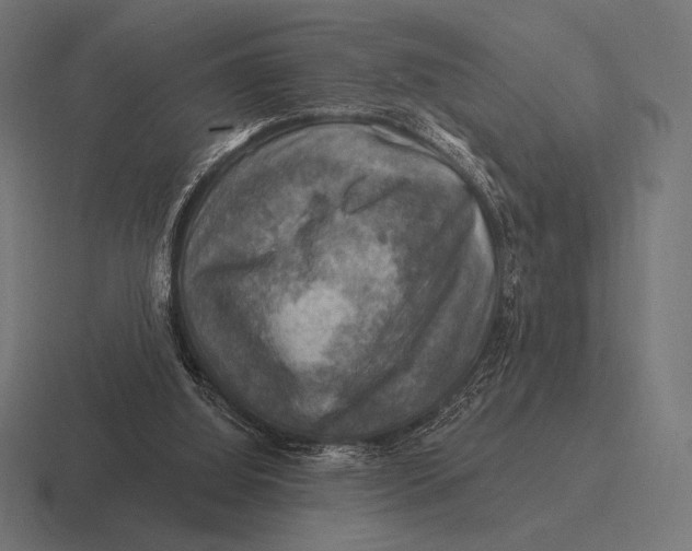 X0000116590060200912291316