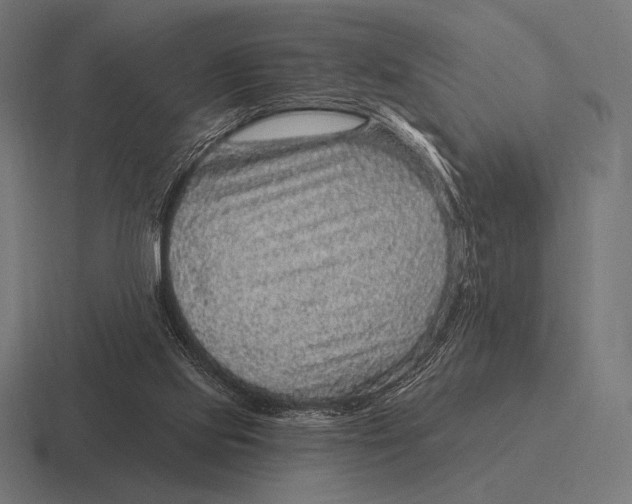 X0000116590061200912291316