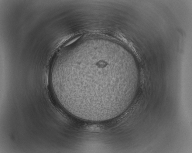 X0000116590062200912291316