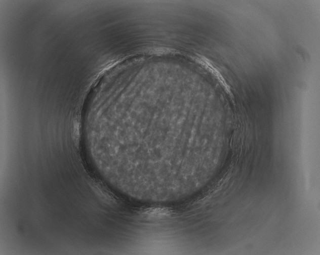 X0000116590063200912291316