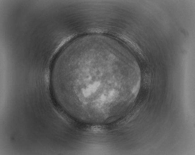 X0000116590064200912291316