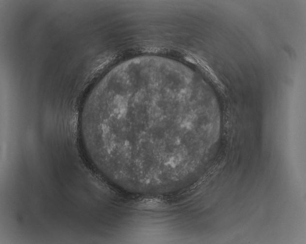 X0000116590066200912291316