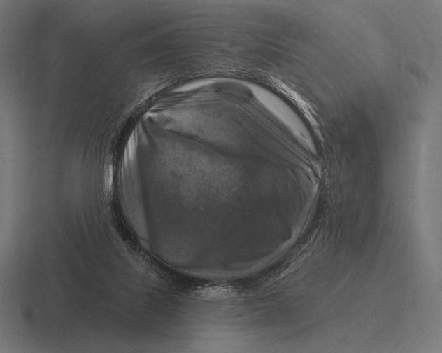 X0000116590067200912291316