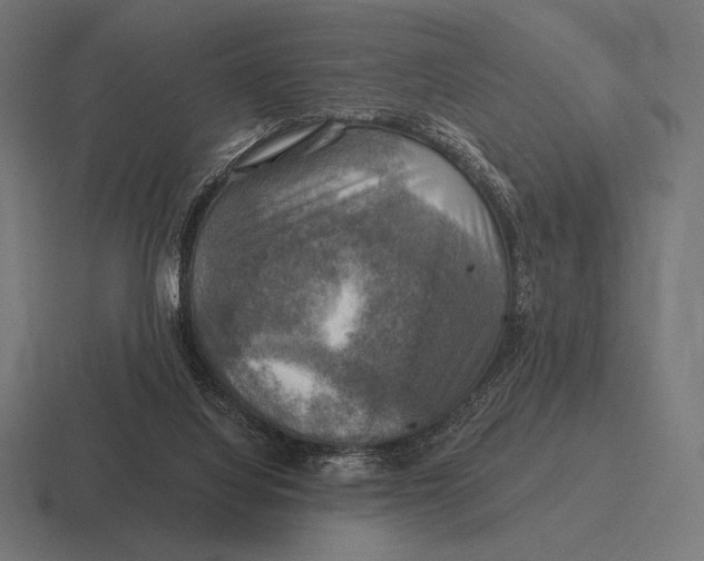 X0000116590068200912291316