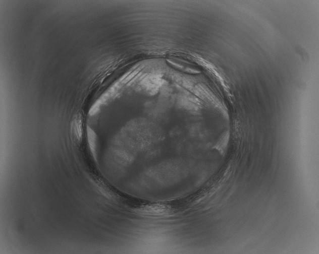 X0000116590069200912291316