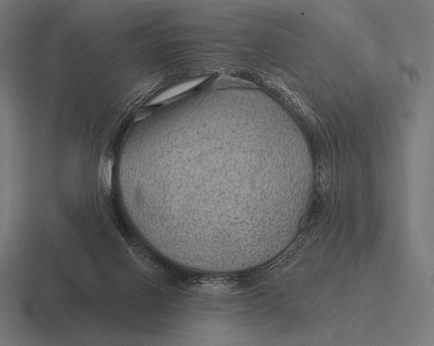 X0000116590070200912291316