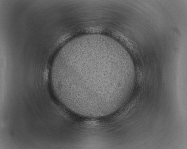 X0000116590071200912291316