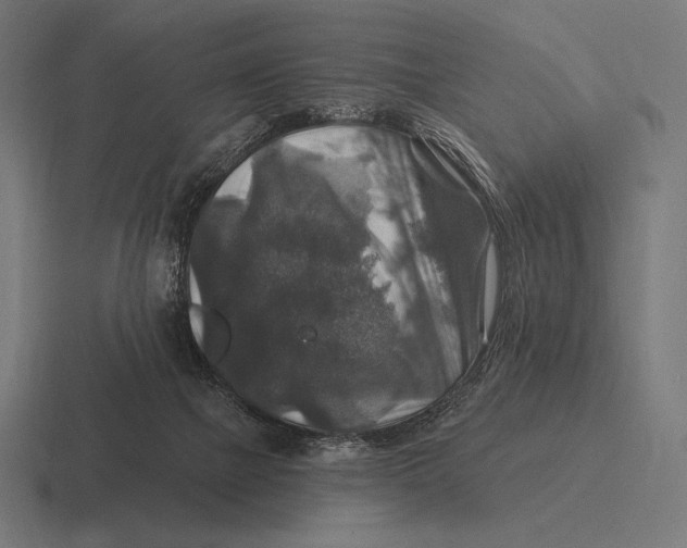 X0000116590073200912291316