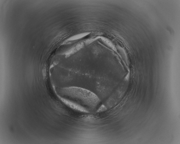 X0000116590074200912291316