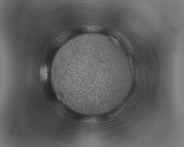 X0000116590075200912291316