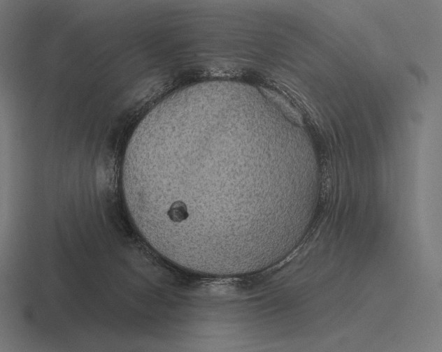 X0000116590078200912291316