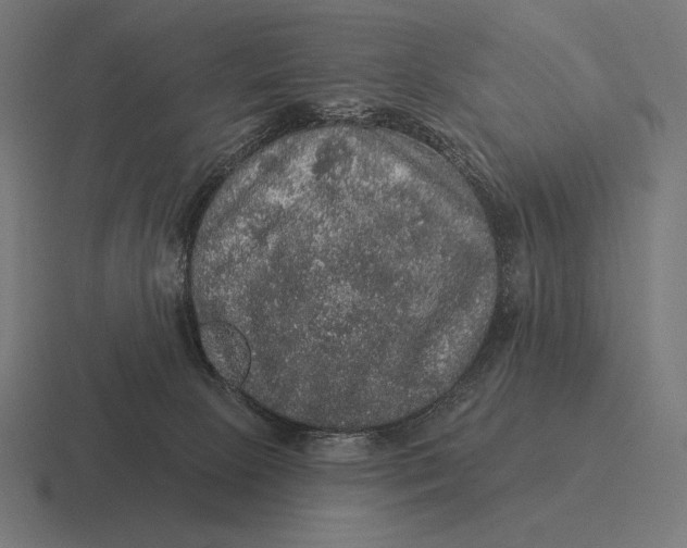 X0000116590081200912291316