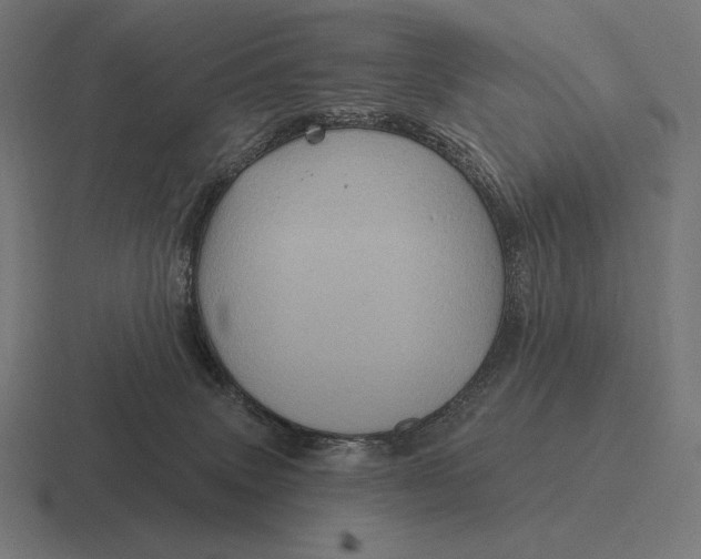 X0000116590083200912291316