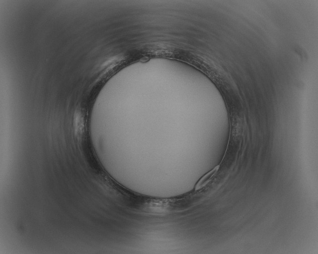 X0000116590084200912291316