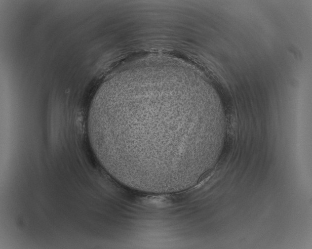 X0000116590086200912291316