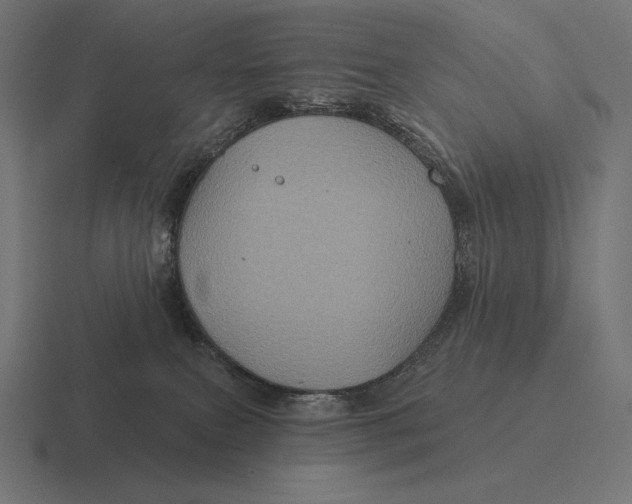 X0000116590087200912291316