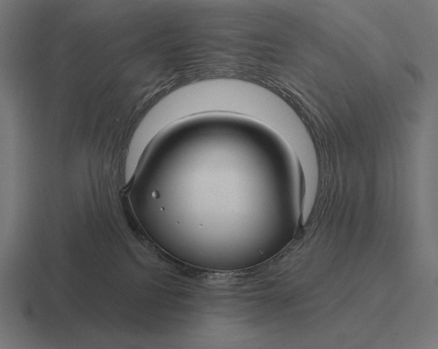 X0000116590088200912291316