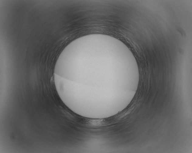 X0000116590089200912291316