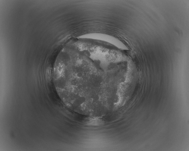 X0000116590093200912291316